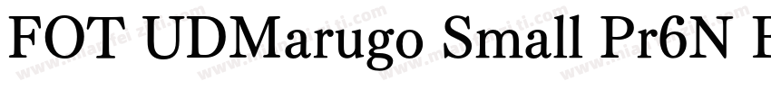 FOT UDMarugo Small Pr6N Bold字体转换